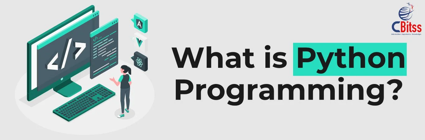 What is Python Programming