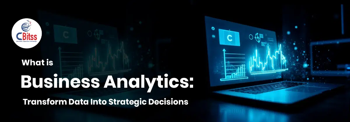 business analytics