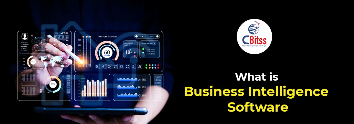 business intelligence software